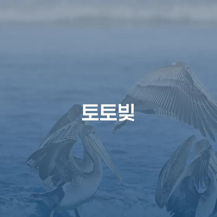 개인파산신청자격요건 빚청산 비교해보기