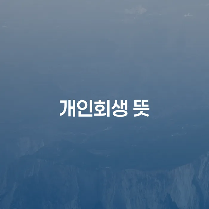 대출빚 개인회생 제도 상담을통해