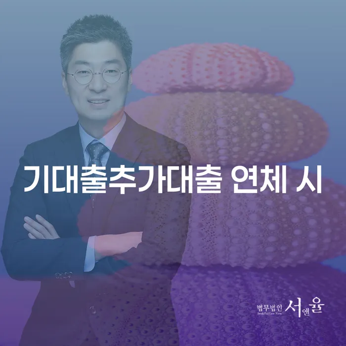 개인회생 변호사 비용 분납 가능하고 대출 받은 돈채무조정 결정이나고