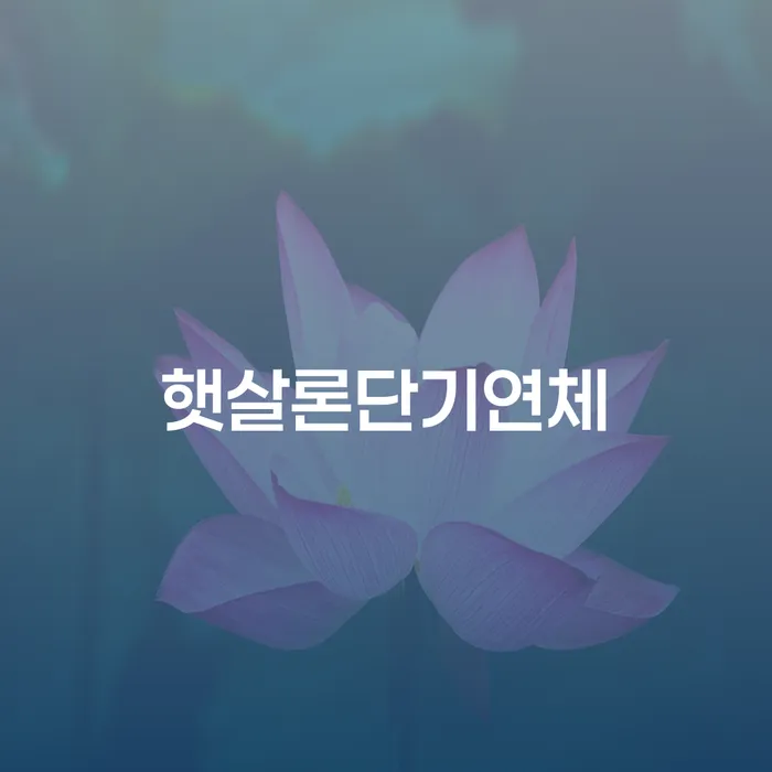 개인회생비용분납 빚갚는 방법 미리알기