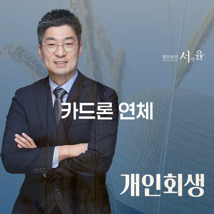 보험설계사개인회생 채무조정제도을 이용하여 어떻게 진행되는지