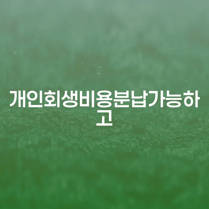 대부업체이자 연체 시 채무조정제도을 이용하여 검토하여
