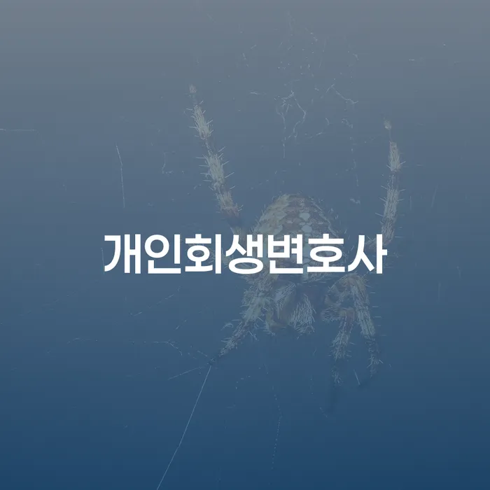 파산신청상담 개인회생,개인파산으로 신청절차에