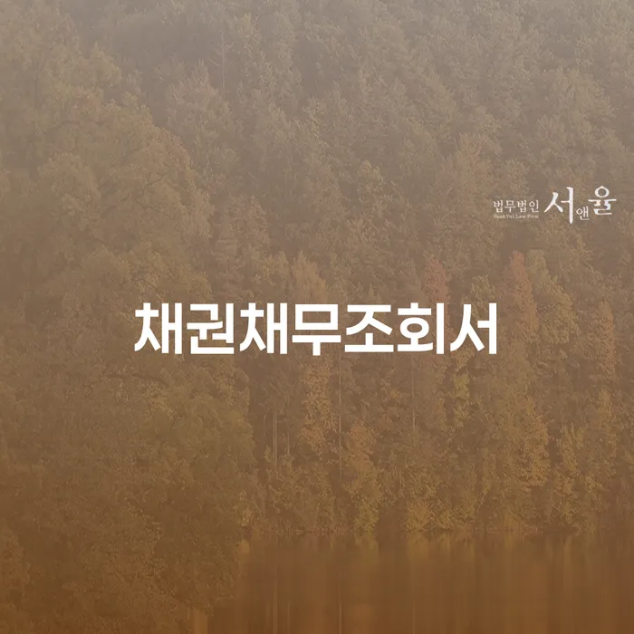 도산전문변호사 개인회생 제도 해결하기