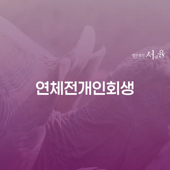 파산신청상담 채무조정제도을 이용하여 상담으로 확인하고