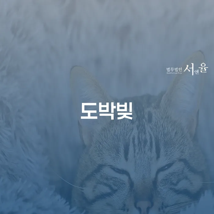 사업자회생 개인회생,개인파산으로 꼼꼼히 따져보고