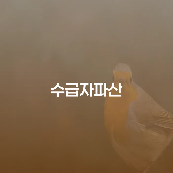강동구 대출연체 되었을 때 개인회생으로 방법 살펴보세요