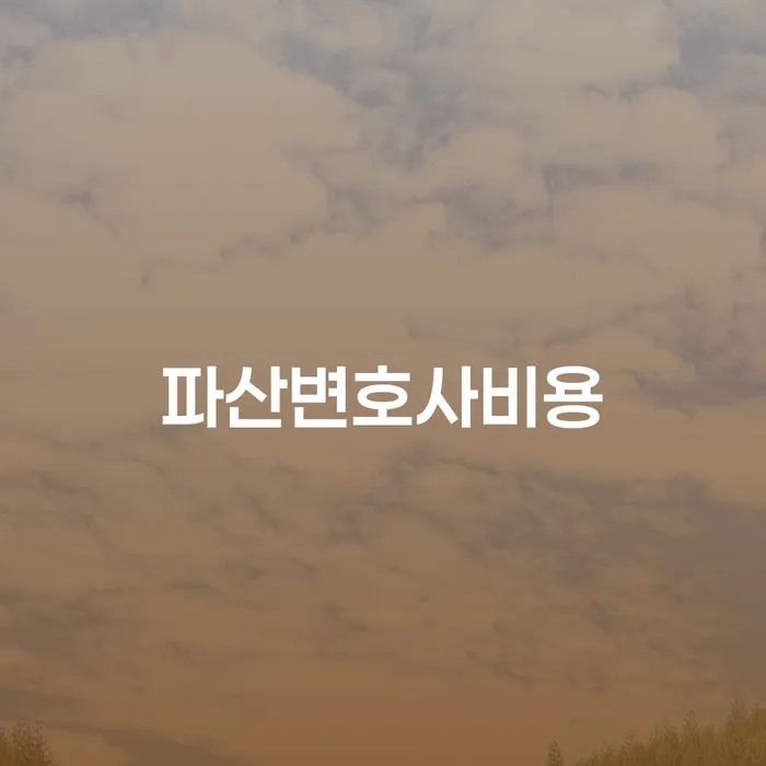 서울 개인회생 변제금 미납 빚갚는 방법 얼마?