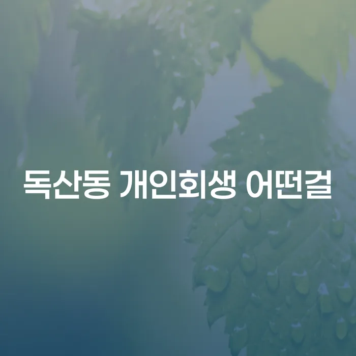 독산동 개인회생 어떤걸