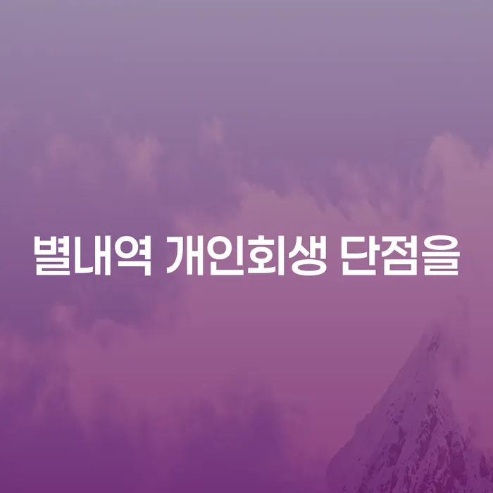 별내역 개인회생 단점을
