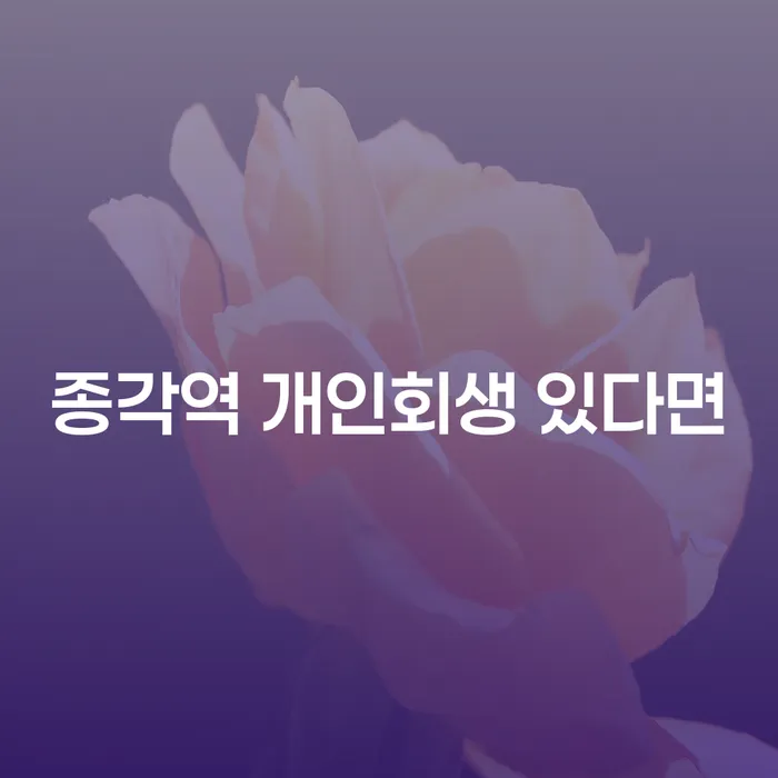 종각역 개인회생 있다면