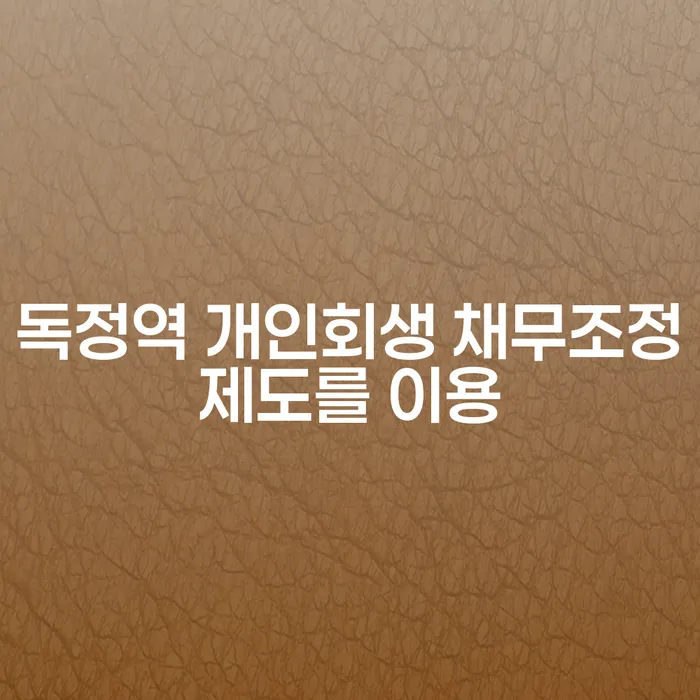 독정역 개인회생 채무조정제도를 이용