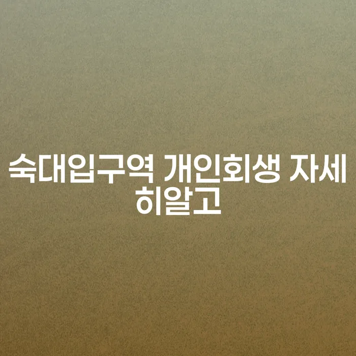 숙대입구역 개인회생 자세히알고
