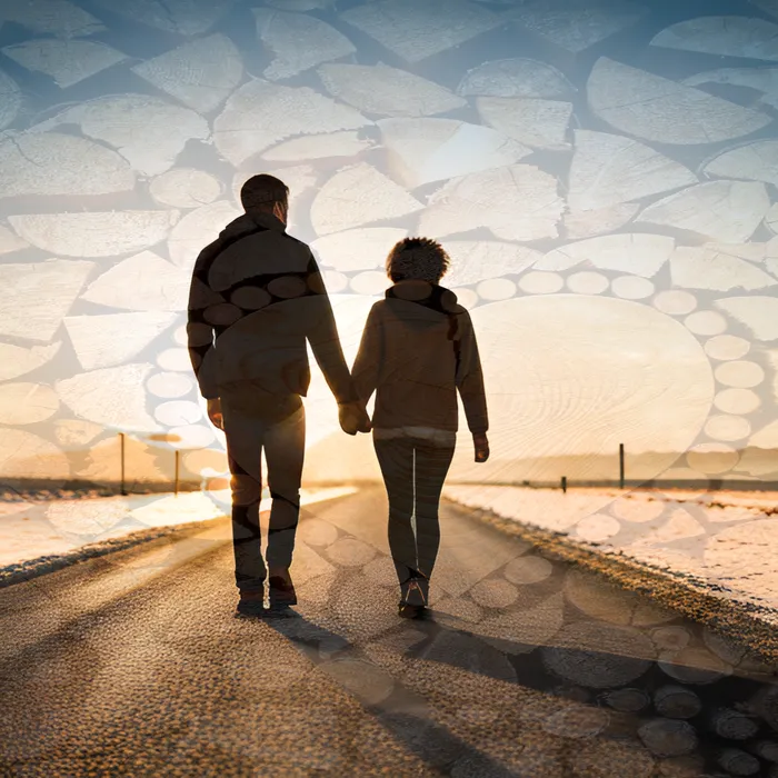 개인회생과 개인파산 비교