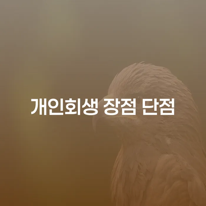 중림동 개인회생 장점과 단점 분석 및 사례 연구