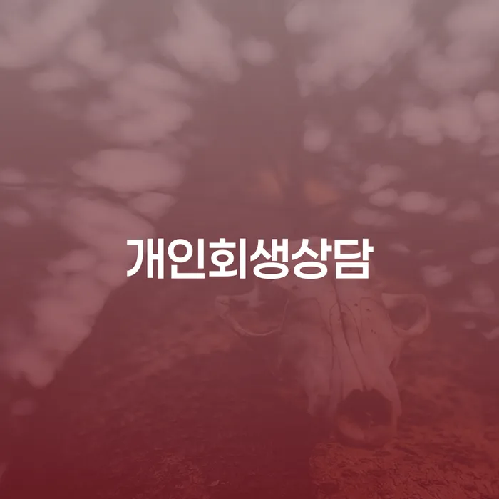 이문2동 개인회생 상담을 통한 경제적 재기