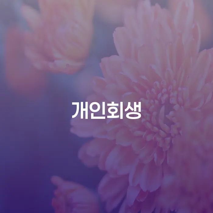 진도개인회생을 통한 재정 회복의 길