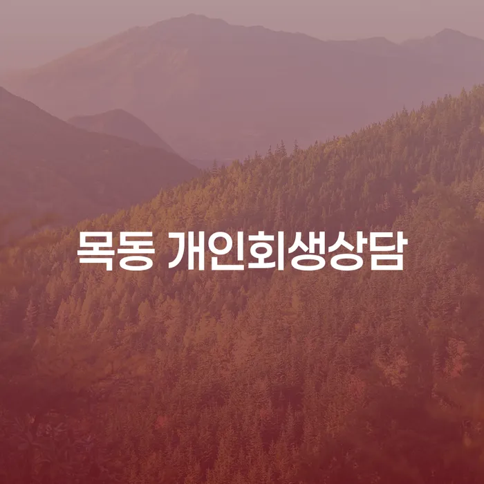 목동 개인회생상담: 채무 문제 해결의 시작점은 어디일까요?